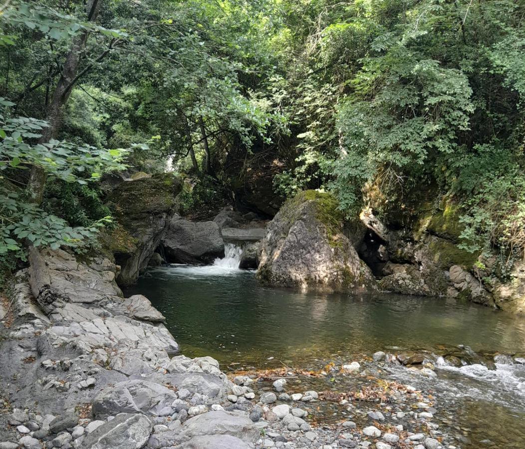 Casa Ylenia Villa Borzonasca ภายนอก รูปภาพ
